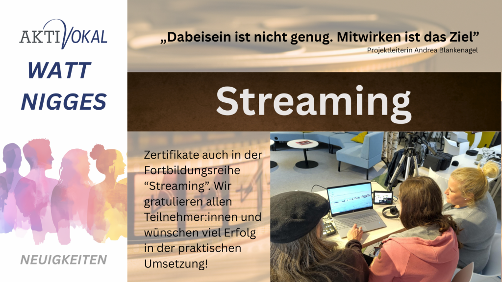 Grafik von AKTIVOKAL, auf der Teilnehmer der Fortbildungsreihe "Streaming" zu sehen sind.
